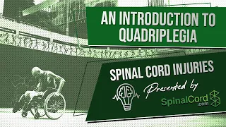 Quadriplegia | Tetraplegia | Quadriplegic | Tetraplegic | Quadriplegia Definition