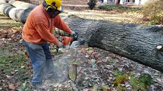 Keeping Big Wood High When Bucking a Log