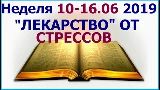 Неделя 10-16 июня 2019 г.:  о важности обретения душевного покоя