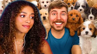 Jalon Reacts to Mr Beast Saving 100 Abandoned Dogs