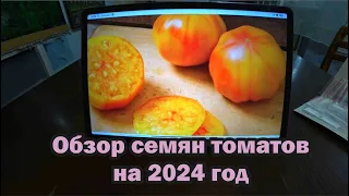 Обзор семян томатов от коллекционера на 2024 год. Часть 1