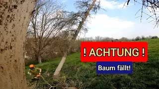 FarmVlog#70 - buckeln im Weinberg und Bäume fällen