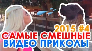 Самые смешные видео приколы 2015 #4 | Best Funny Video 2015 #4