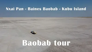 Nxai Pan - Baines Baobab - Kubu Island 2023