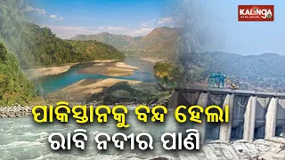 India stops Ravi water flow to Pakistan by building a dam in Punjab || KalingaTV