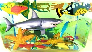 Learn Sea Animals Names Sharks Whales Fish Kids Educational Toys - Fun learning for children