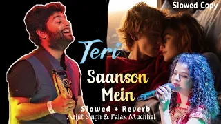 Teri Saanson Mein Ashi Bash Jau - [Slowed + Reverb] | Arijit Singh,Palak Muchhal,Amit Mishra #slowed