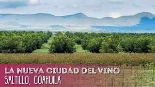 Saltillo, Coahuila, la nueva ciudad del vino