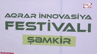 Şəmkirdə Aqrar İnnovasiya Festivalı keçirilib