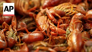 Despite Louisiana’s crawfish shortage, demand is still high