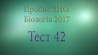 Тест 42