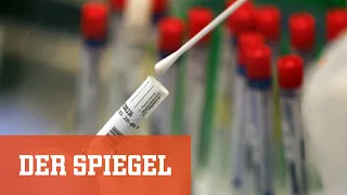 Suche nach Corona-Impfstoff: Was die Antikörper verraten | DER SPIEGEL