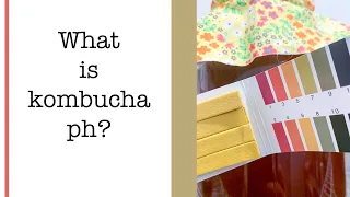 Why is kombucha ph important?