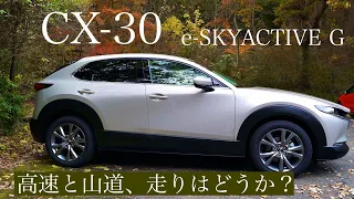 【高速初走行のあと、ピアノブラックのコーティングしてみた。】CX-30 20S e-SKYACTIVE G