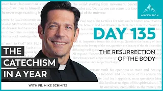 Day 135: The Resurrection of the Body — The Catechism in a Year (with Fr. Mike Schmitz)