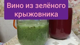 15 День./ Снимаю мезгу //Вино из зелёного крыжовника с ментоловой мятой и лимоном/