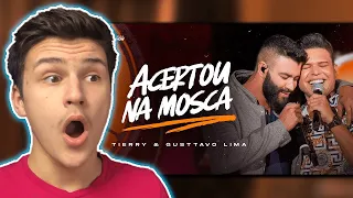 Tierry - ACERTOU NA MOSCA - feat Gusttavo Lima - DVD Acertou Na Mosca  |🇬🇧UK Reaction