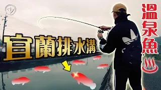 史上最好命魚！泡溫泉長大，簡直欠釣！溫泉之鄉94狂！ ft. 路亞巴士 #鵝大人 #釣魚 #路亞