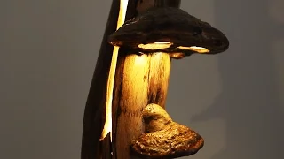 Making of: Natural Mushroom Lamp (long Version)