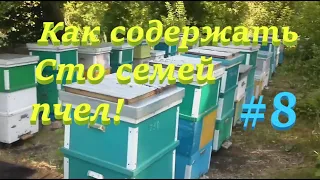 ✅Как содержать 100 семей пчел! #ПЧЕЛОВОДСТВО8 начинающим с нуля!