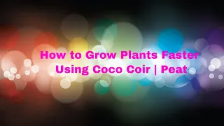 How to Grow Your Plants Faster Using Coco Peat |How to Use Coco Peat in Gardening