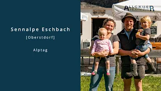 Oberstdorf | Zu Besuch auf der Sennalpe Eschbach