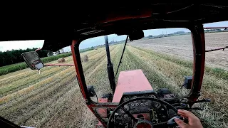 🚜CAB-VIEW 👨‍🌾 Zwożenie Słomy🌿 |LTZ 55A & Autosan| #8