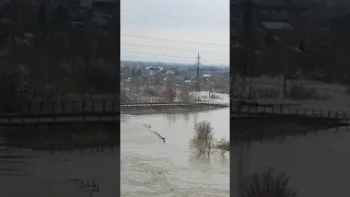 Петропавловск.Платина. Уровень воды.