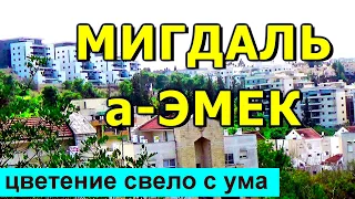 795.Мигдаль-а-Эмек- стоит ли тут жить? Израиль