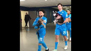 Zenit carry out dogs pre-game 🐶 | #shorts