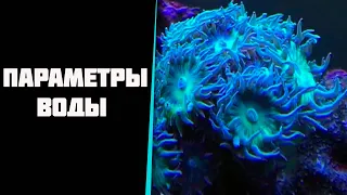 Что с моим морским мини аквариумом непонятно. Параметры воды.