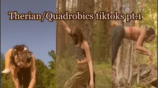 🪶Therian/Quadrobics TikTok compilation {Part 1}