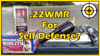 .22 Magnum American Quality vs Hornady Critical Defense Ballistic Gel Test With The 3.5" Rough Rider