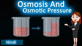 Osmosis and Osmotic Pressure || 3D Animated Explanation || class 12th chemistry || Solutions ||