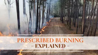 Prescribed Burning Explained — the Process of Conducting a Prescribed Burn