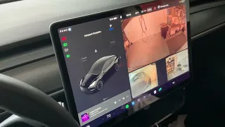 Tesla Vision Park Assist - Parks in my garage?!