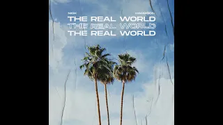 The Real World (Lyric Video) - Nick Harrison