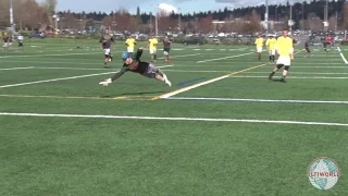 College Men's Ultimate Frisbee Highlights 2016