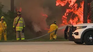 Residents react to Palm City brush fire