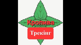 Кропива Трек