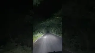 Night Ride || Horror Road || Fear 😧 || Drive Classy