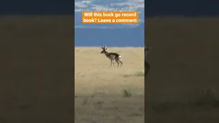 One shot kill on a RECORD BOOK buck?!