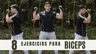 8 EJERCICIOS PARA BICEPS (BANDAS ELASTICAS)