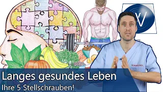 Revolutionäre Studie: Erfolgsfaktoren für ein langes gesundes Leben - Was Sie beeinflussen können!