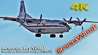 Antonov An-12BP   Ukraine Air Alliance Crosswind [4K] (UR-CAK)