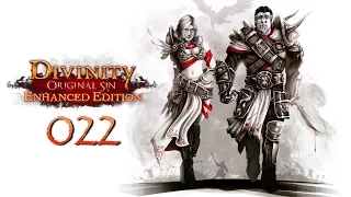 Divinity: Original Sin #22 - Die Schwarze Bucht und Billeh Gahr | Let's Play together