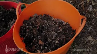 How to Put Fall Leaves to Work in Your Garden