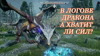 Штормовой берег. Охота на Красных Храмовников! Dragon Age Inquisition ПРОХОЖДЕНИЕ!