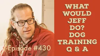 Puppy growls at dogs | Stop dog jumping | What Would Jeff Do? Dog Training Q&A #430