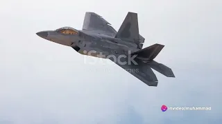 Martin F-22 Raptor The Ultimate Guardian of the Skies #military #training